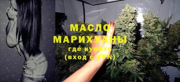 индика Нефтекумск
