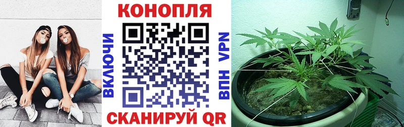 MEGA вход Харовск МАРИХУАНА SATIVA & INDICA